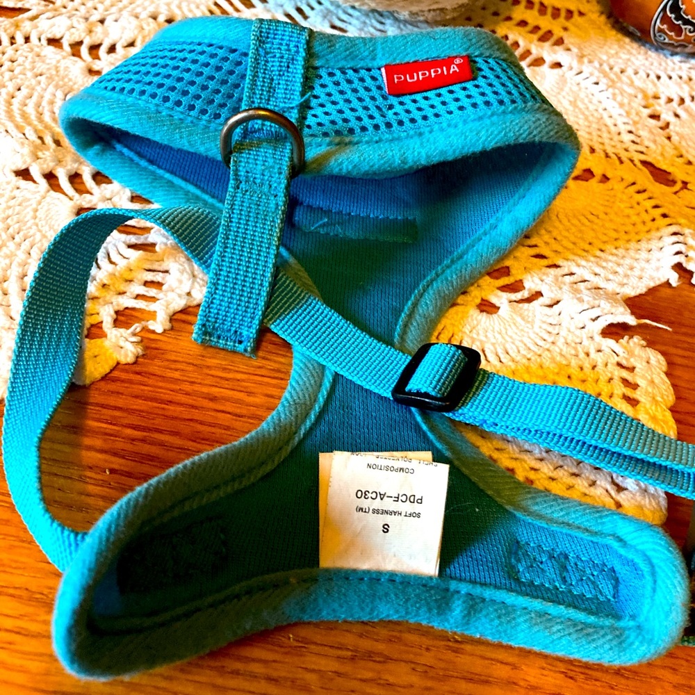 Dog Harness, Turquoise, Size Small